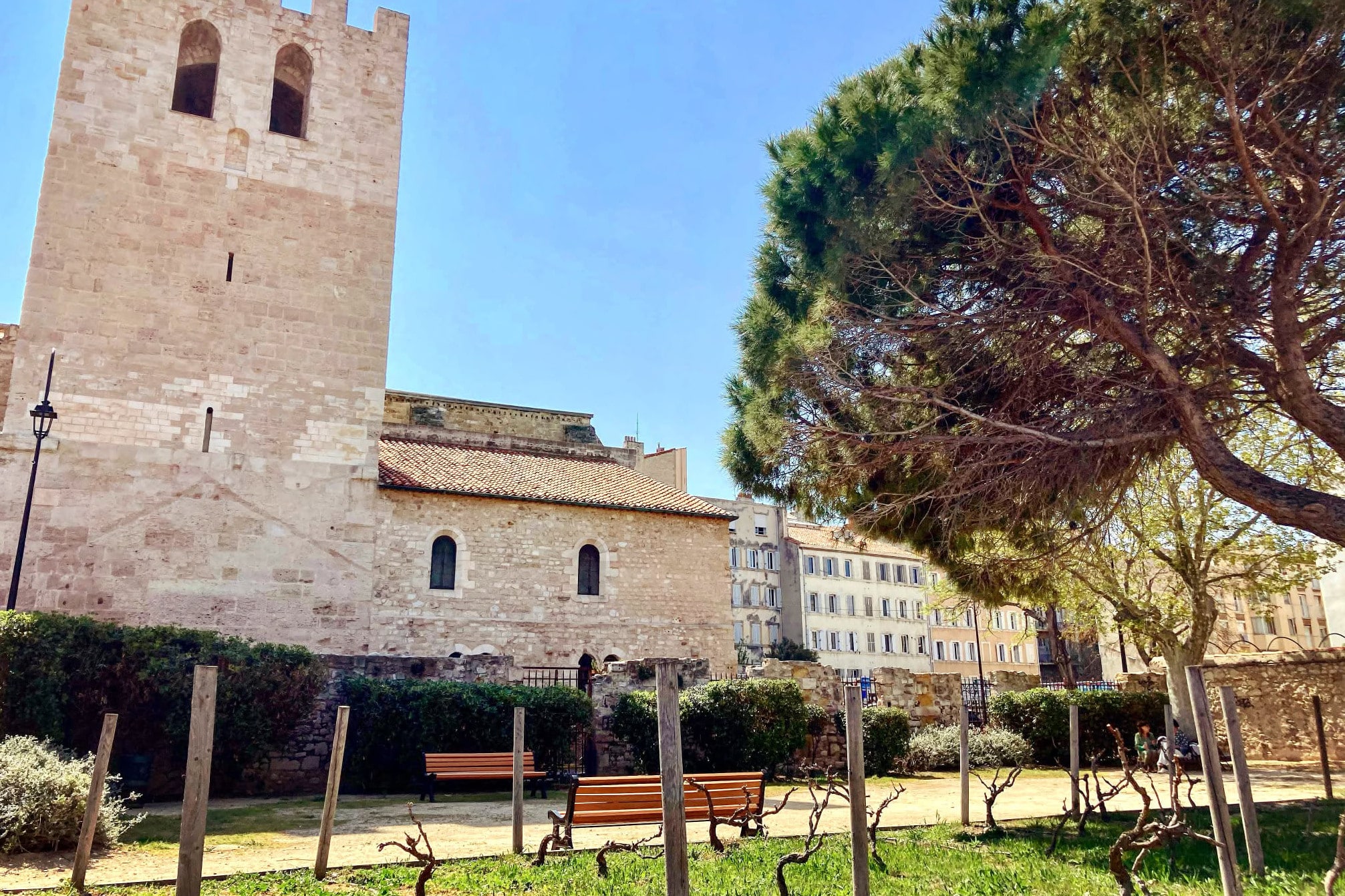 Saint-Victor, &Agrave; Saint-Victor, un jardin partag&eacute; pourrait voir le jour sur une ancienne parcelle viticole, Made in Marseille