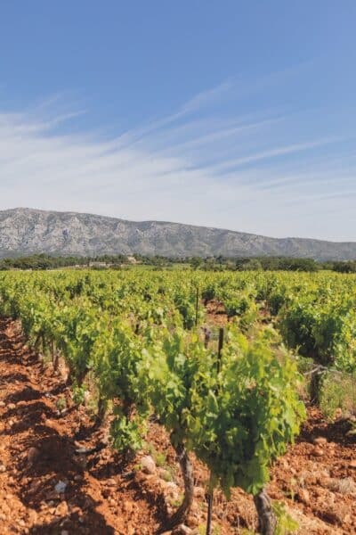 agriculture, En Provence, l&rsquo;agriculture durable est accessible à tous, Made in Marseille
