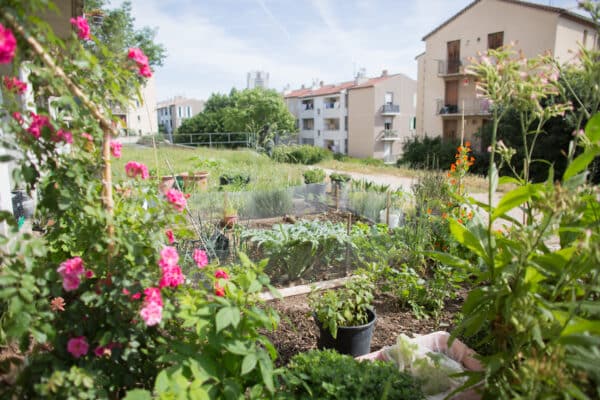 jardins, Yazid Bendaif fait pousser des jardins nourriciers dans les quartiers Nord de Marseille, Made in Marseille